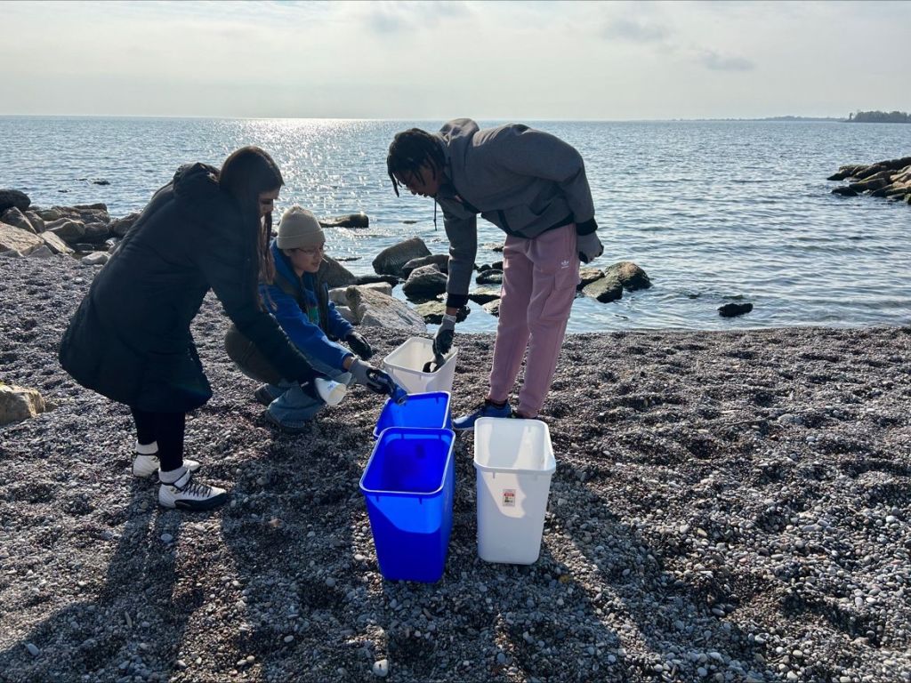 Volunteers picking up litter on beach in Toronto